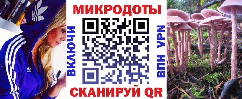 Псилоцибиновые грибы мицелий  Хадыженск 